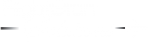 logo flight start solutions